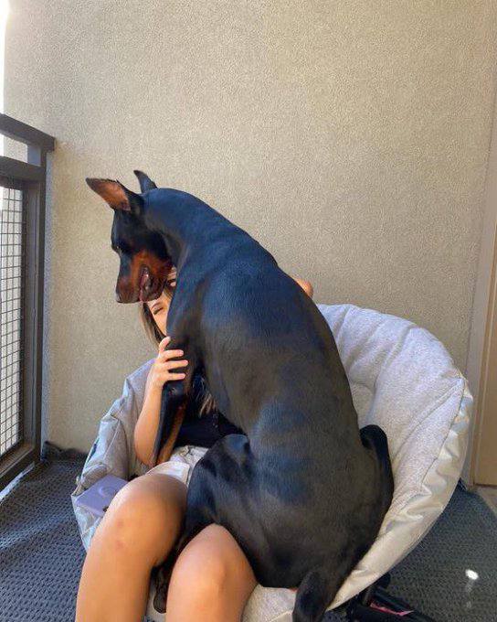 v95916480840578's tweet photo. I'm back again with some amazing K9 content ready for your consumption 

Tap the link below to join my private telegram channel 👇👇

https://t.co/zH4HPQts43 https://t.co/08VJAkKoYx