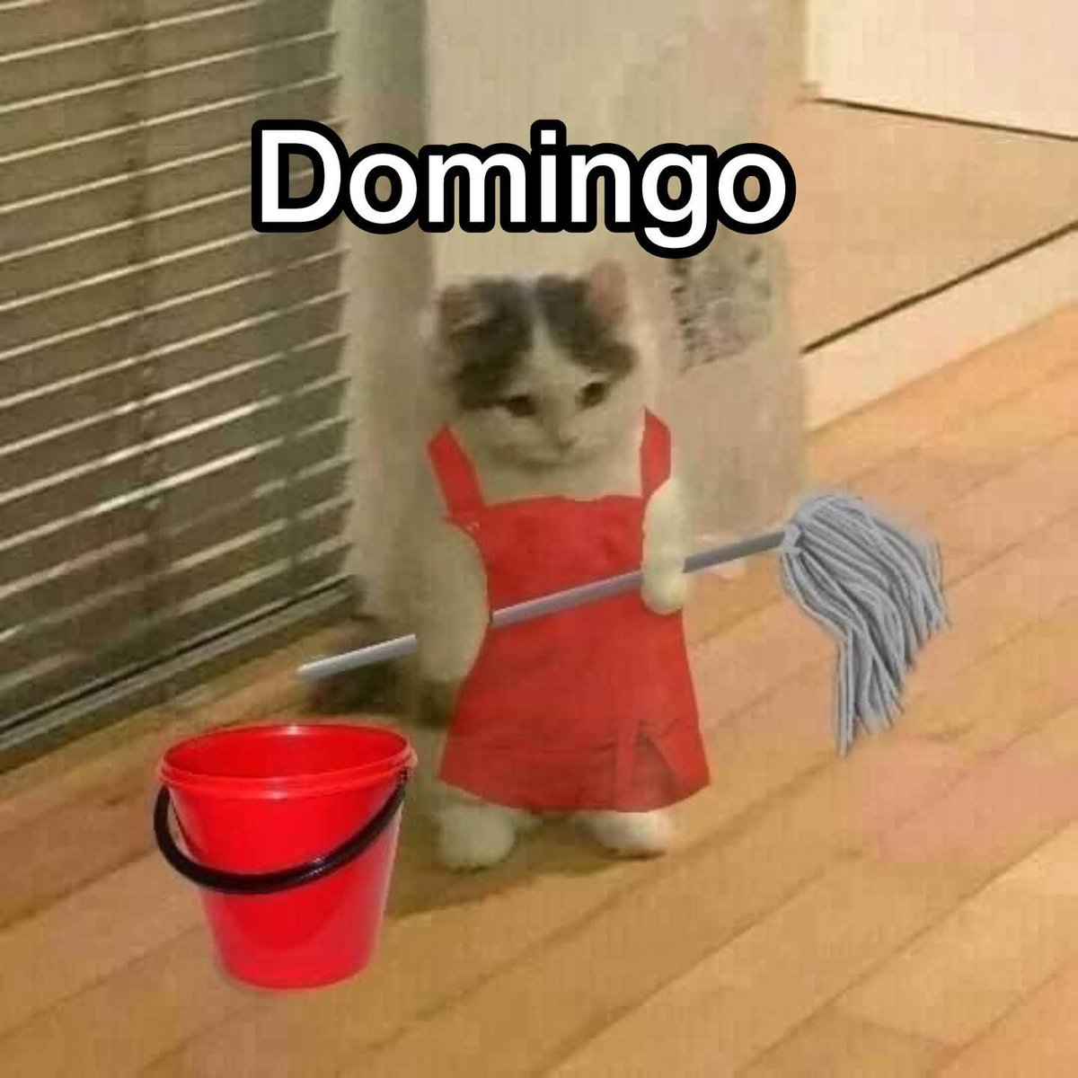 En Júpiter (@en_jupiter_) on Twitter photo 