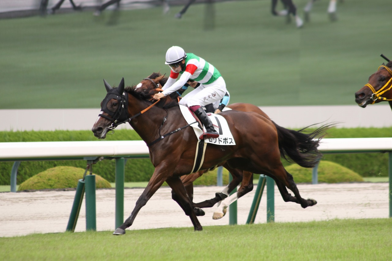 軸馬さがし未公開テクニック 勝馬サインを正しく読む 軸馬さがし未公開テクニック 勝馬サインを正しく読む 馬券勝ち組