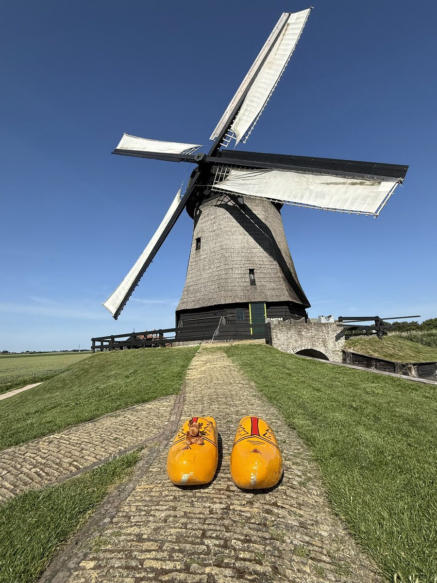 Sopheverafter's tweet image. The world needs more love and beautiful photography 🫠

Let’s fill this space with your amazing shots 📸 

North Holland, Netherlands 🇳🇱