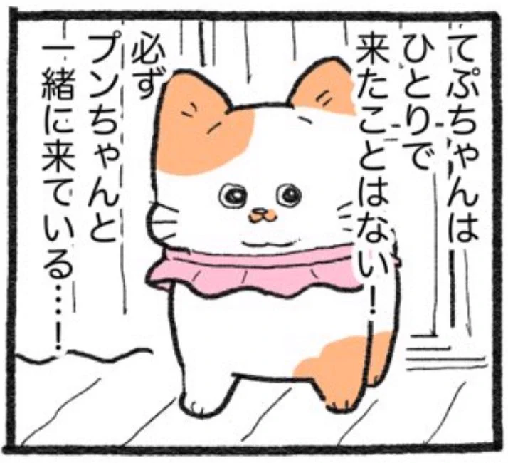 やじま@ねこおじ7・8巻発売中🐱 on X: 