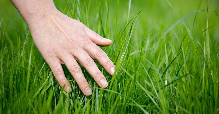 #openseatouchgrass 
<a href="/opensea/">OpenSea</a>