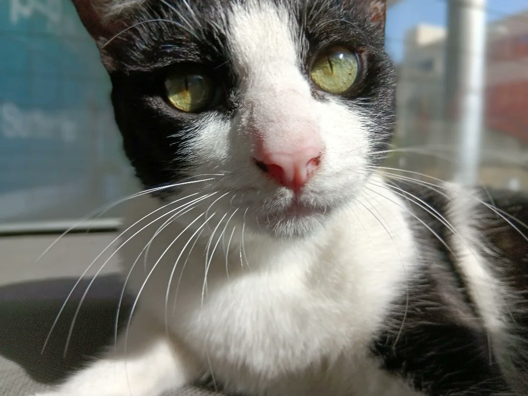 Everyone, Cassiopeia Penelope. 
Cassiopeia Penelope, everyone.