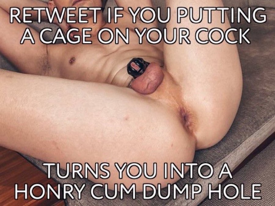 Greg Webster tweet media