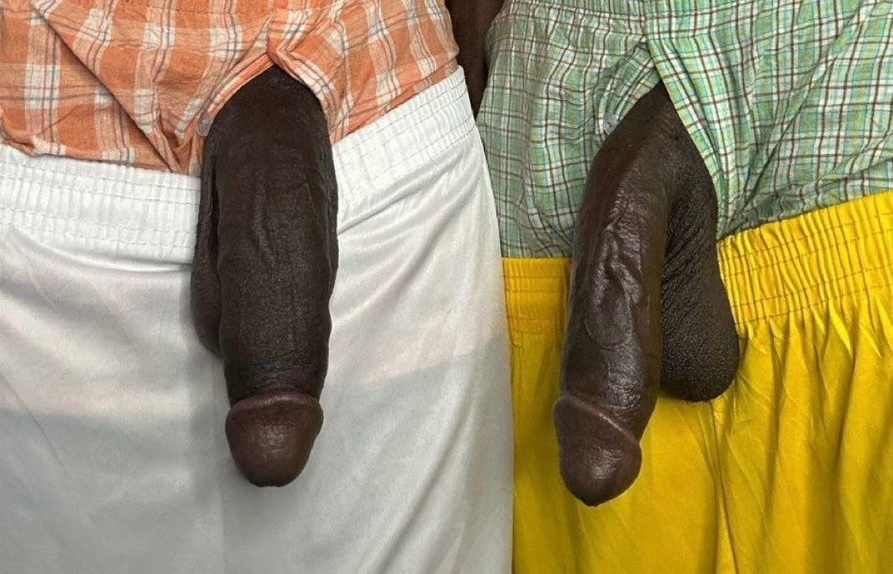 Greg Webster tweet media