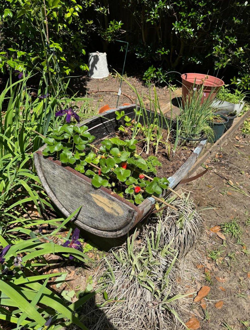 #gotouchgrass 
#touchgrass 
#touchthegrass
#openseatouchgrass 
<a href="/opensea/">OpenSea</a>