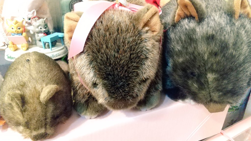 茶臼山動物園 ウォンバット ぬいぐるみ ウォレス モモコ パペット