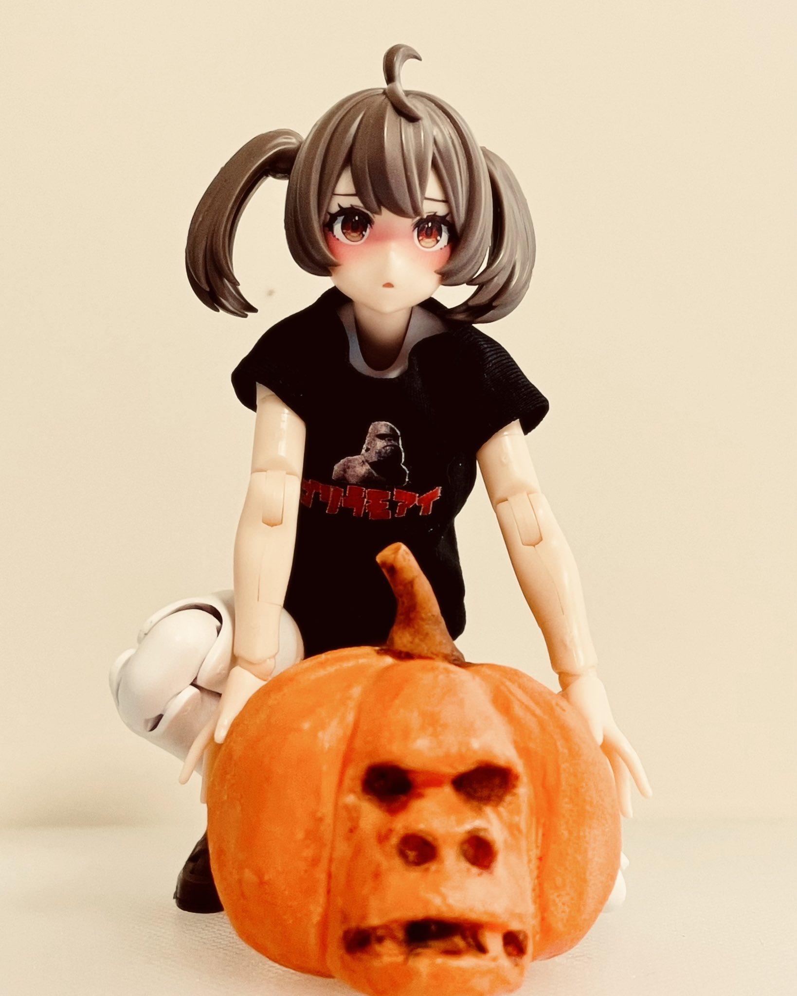 アルパカごりらぶ(*´▽`*)♪ 軽ラバ HIDEUP ハイドアップ