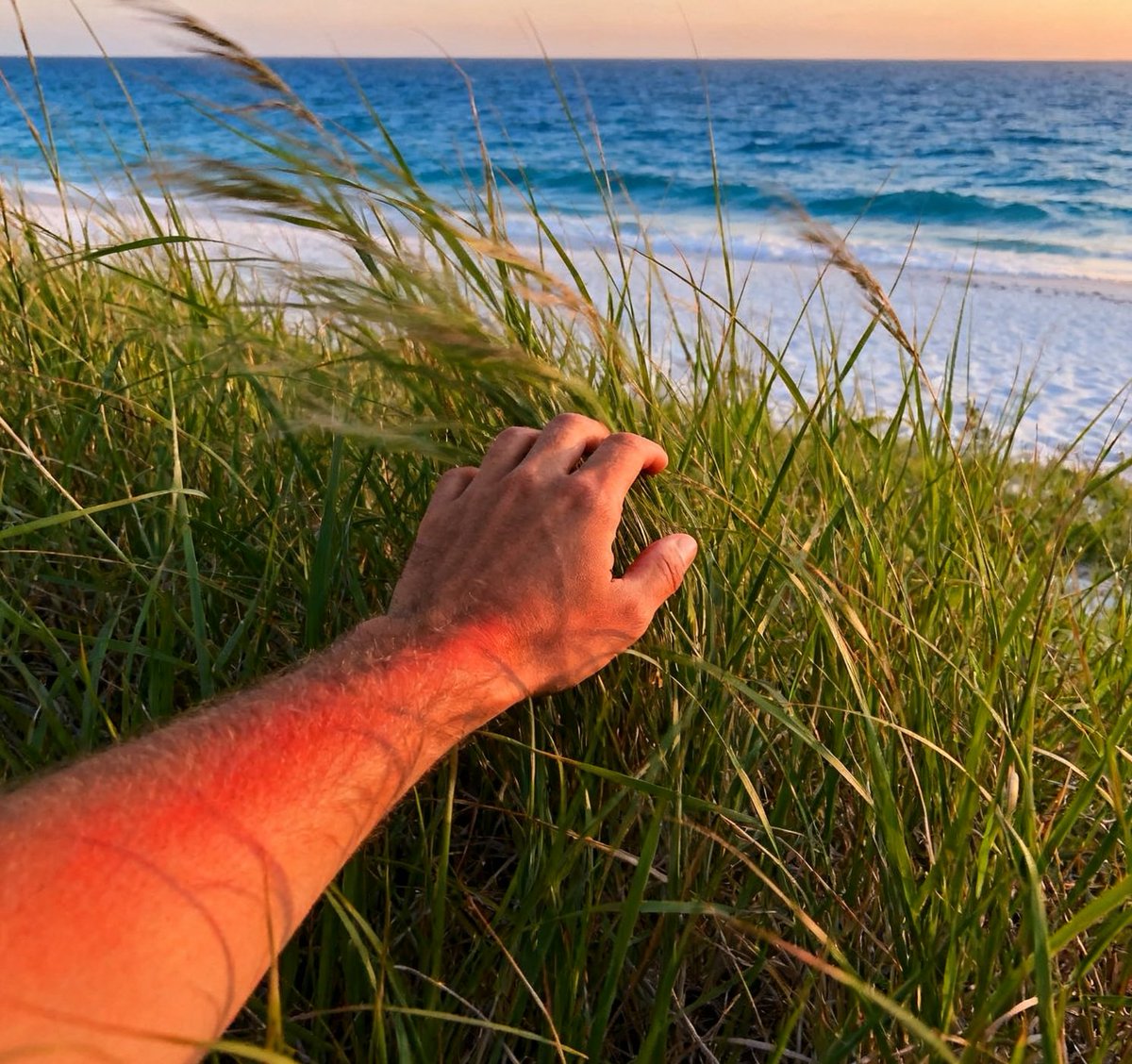 Professionally touching grass for 40 years
#openseatouchgrass 
<a href="/opensea/">OpenSea</a>