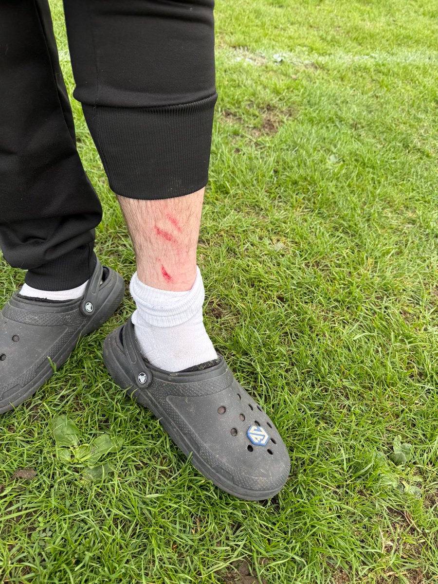 Aaron Stocker tweet media