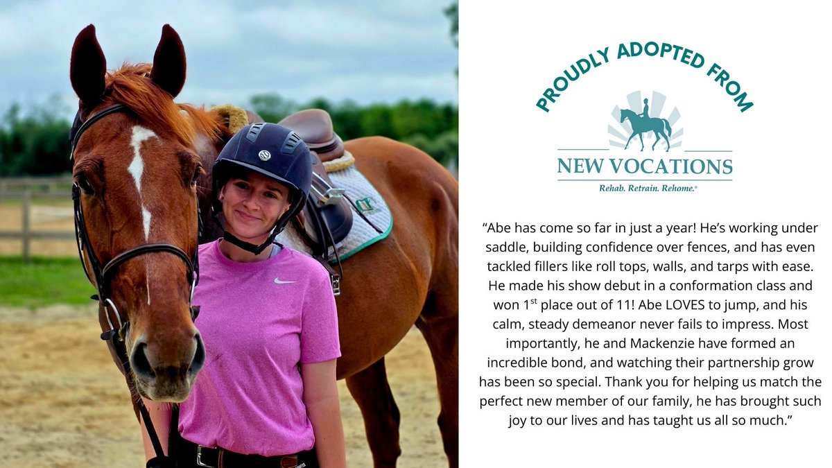 ☀️ SUCCESS STORY SUNDAY! ☀️ -- ANICLUDE by INCLUDE is a 2018 Thoroughbred gelding with 31 starts in his career and $54,840 in earnings. He was adopted out of New Vocations' Covington, LA facility for a planned second career as a Hunter partner. "Abe" has been with his partner for