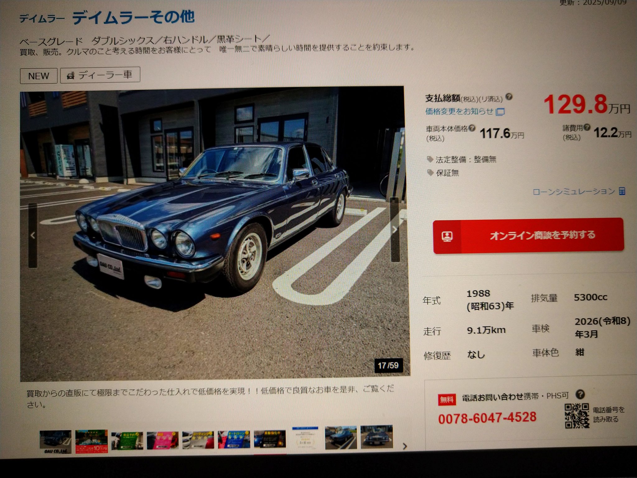メルカリで本日中に売れなければ300円❗「君だけのニャンコ」 ストライプ14cm オニヤンマ 虫よけ アウトドア おにやんまトンボ
