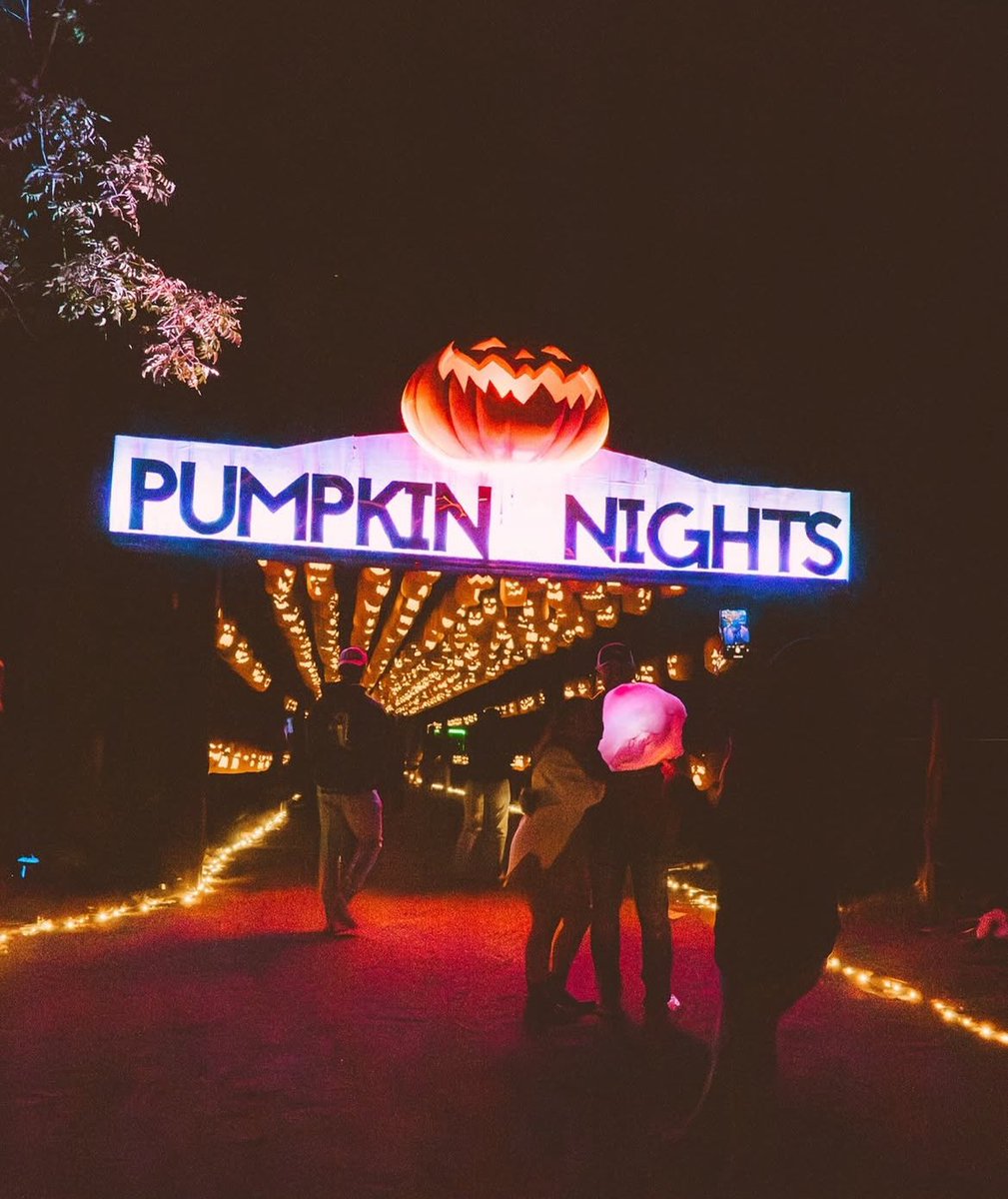 Dallas Entertainment tweet media