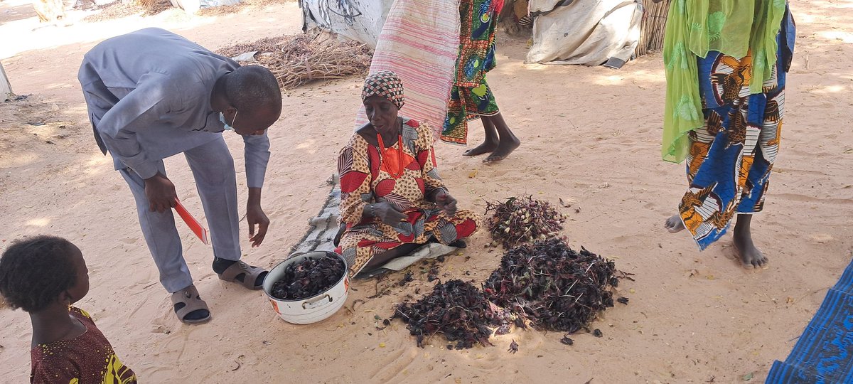 Assessing rural community's resilience measures and livelihood gaps in the post-conflict context using PRA technique, which allows me to observe, engage, listen &amp; document findings. So remarkable to see how individuals have developed strong resilience despite the ongoing conflict