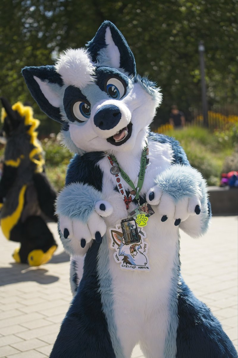 Puppy brain! No thoughs behind his face
📸<a href="/Hurrleyisdumb/">Hurrley</a>