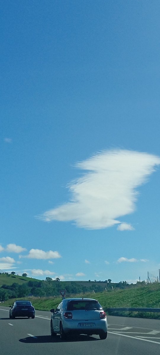 Ndru8588's tweet image. What is this could?

#clouds #artificialcloud ?