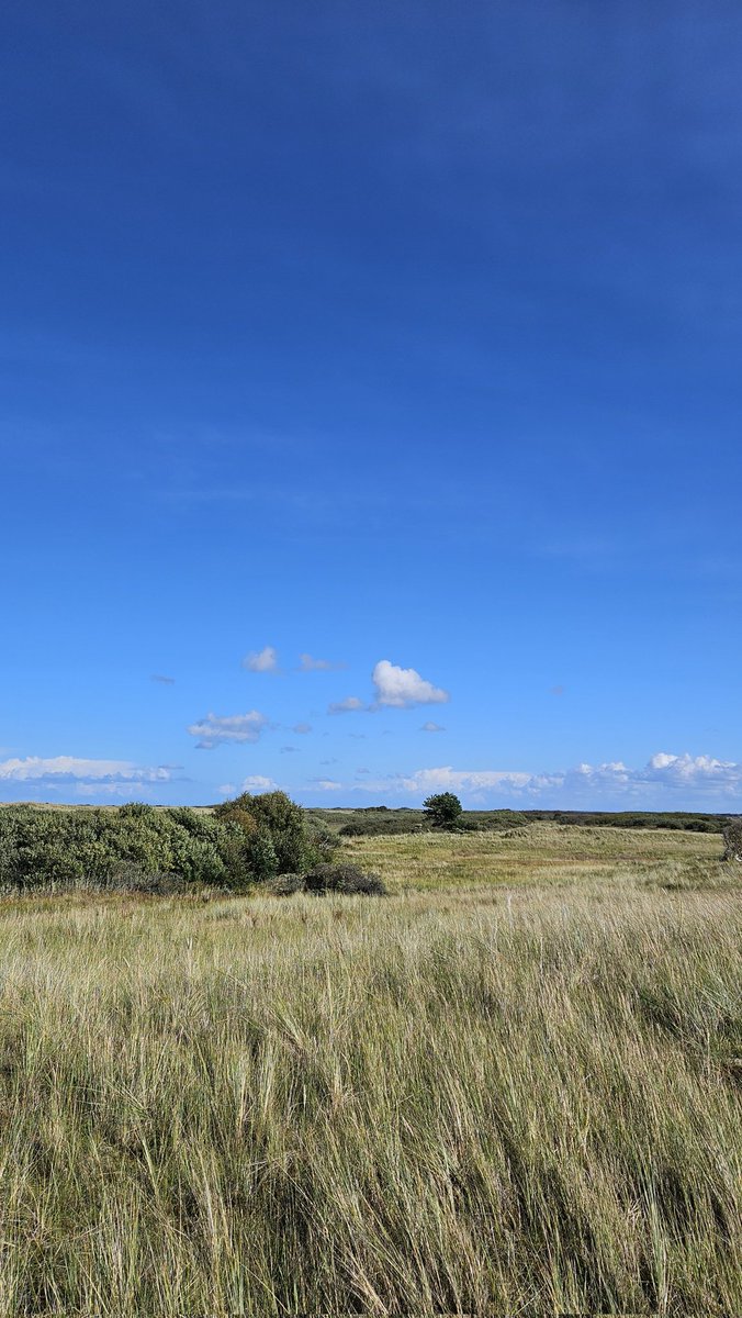Een heerlijke zondagmiddag..☀️
#Hollum #Ameland