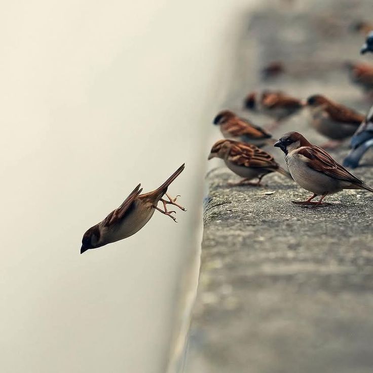 Lovely___Ibiza's tweet image. 