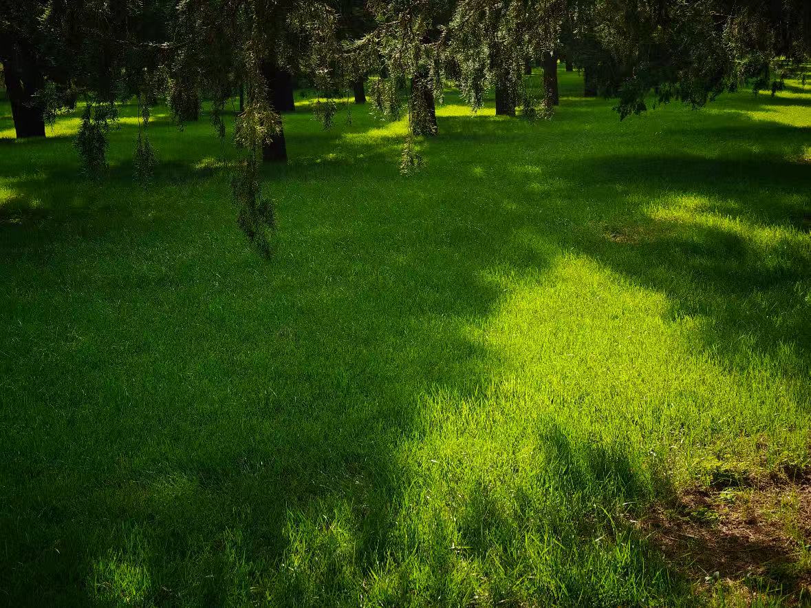 hang out ! #openseatouchgrass  <a href="/opensea/">OpenSea</a>