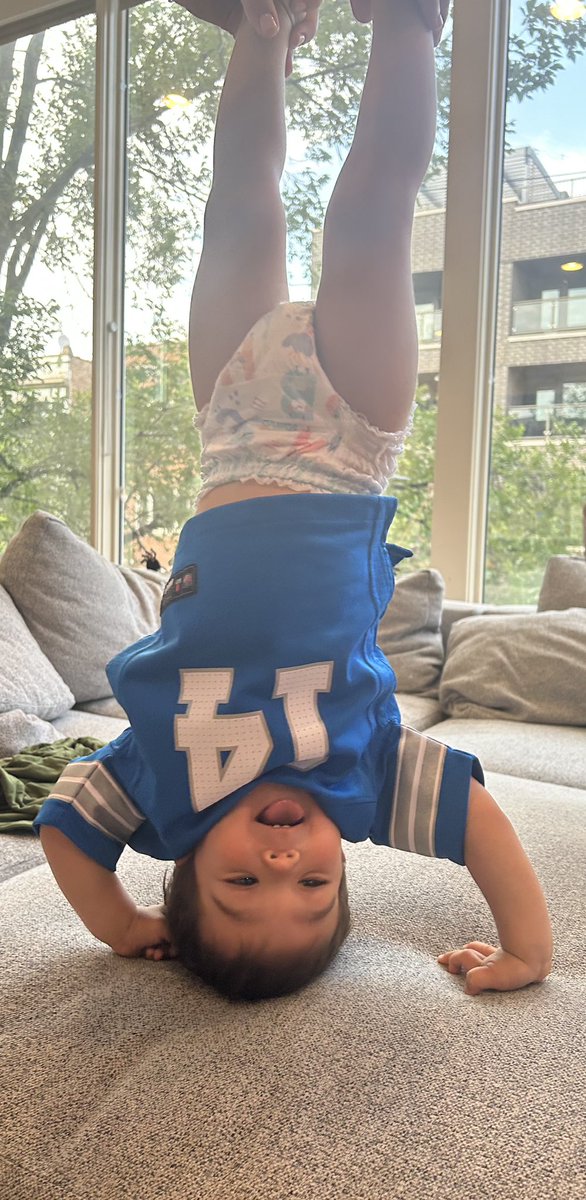 TischDogger's tweet photo. Go Lions! #FTB @Lions @amonra_stbrown https://t.co/W4VhsHvSUb