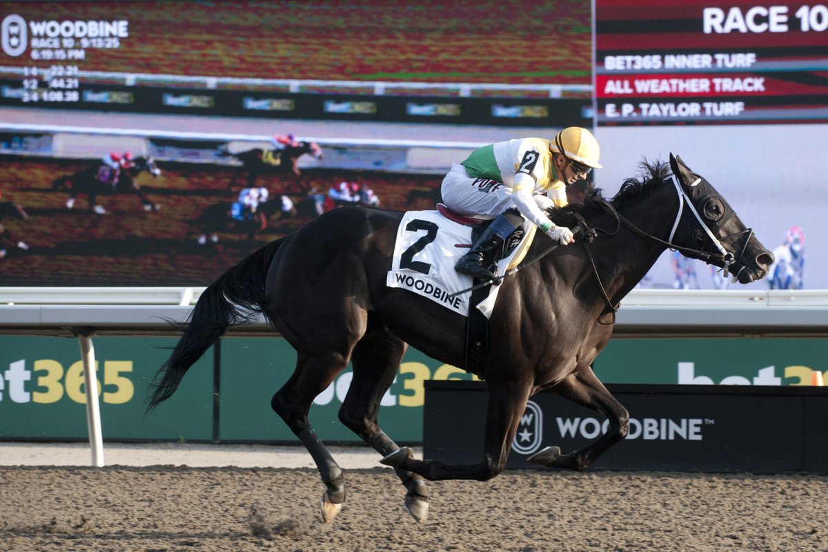 Simcoe sizzles again, this time in Grade 3 Vigil Stakes. 🔥 woodbine.com/woodbine-news/…