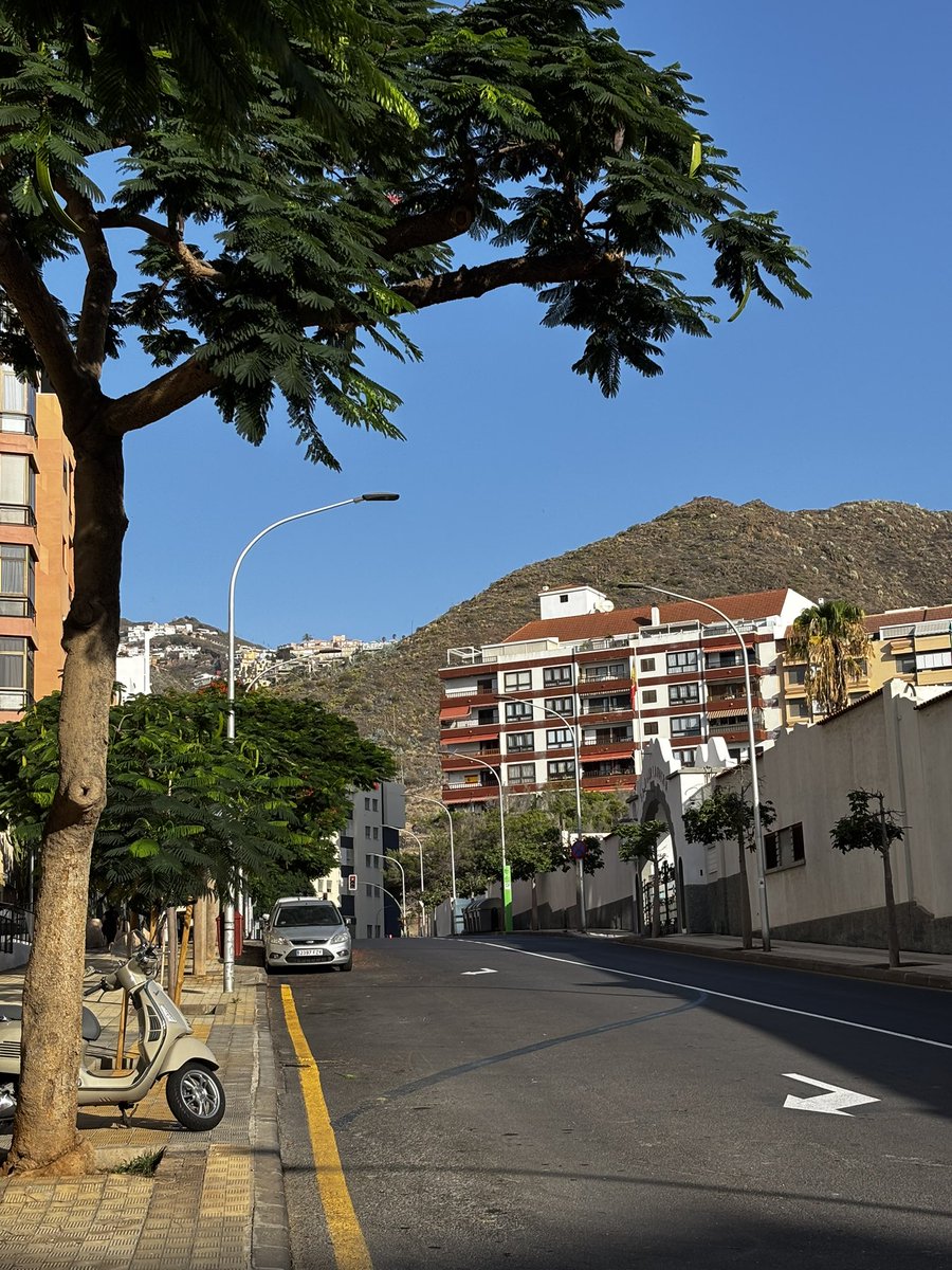 Feliz domingo a todos ☀️☀️☀️

<a href="/EmocionesCan/">Emociones Canarias</a> <a href="/wandwoo/">Desde mi corazon</a> <a href="/elpaiscanario/">EL PAÍS CANARIO</a> <a href="/yconsumocanario/">Yo Consumo Canario 🇮🇨 🌴</a> <a href="/TeneriFeliz/">TeneriFeliz ☀️⛱️ ❤️</a> <a href="/TenerifeCitizen/">Urbānitās.</a> <a href="/CONTUNDENTEE/">Francisco Guerra Sandoval. 🏴󠁧󠁢󠁳󠁣󠁴󠁿</a> <a href="/de1969/">maría lapas</a> <a href="/VisitaVen/">Ven de Visita a Tenerife</a>