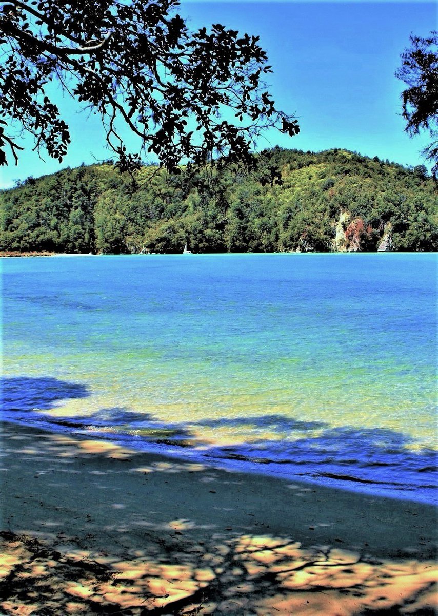 Abel Tasman National Park,South island-New Zealand.
