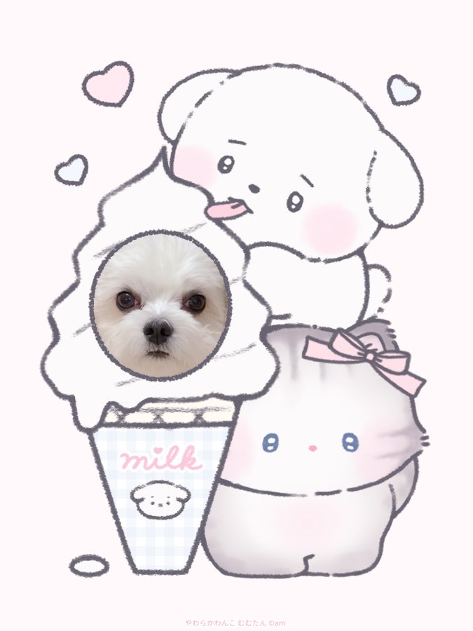 amua様♡ありがとうございます♡ 最近またDMとかお返事遅くなってて本当にごめんね