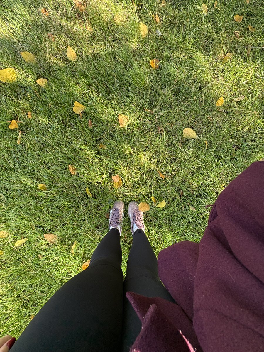 Signs of Autumn 🍁🍂