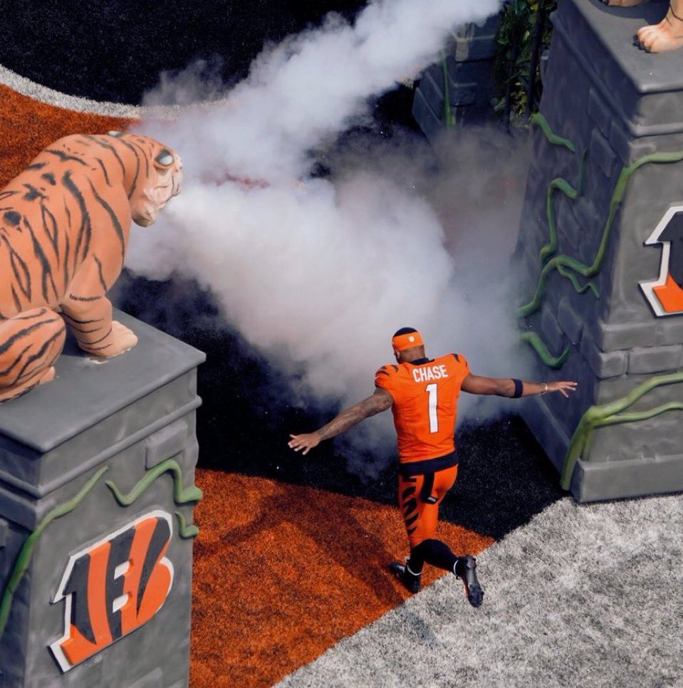 ✰ ιɴdιɢo ввy ✰ tweet media