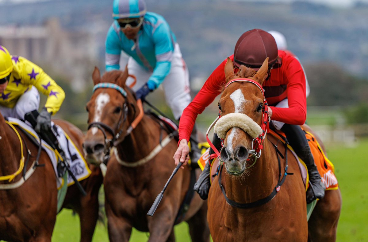 Di de Kock (@safgirl2) on Twitter photo Two lovely winners at Scottsville today. Well done to Hollywood syndicate for Buddy Boy’s good win by 5 lengths. And congrats to Officer in Commands’ connections. Both well ridden by <a href="/callan_murray/">Callan Murray</a> <a href="/Betway_za/">Betway ZA</a> <a href="/DeKockRacing/">De Kock Racing</a> <a href="/CandiesePhoto/">Candiese Lenferna</a> Two lovely winners at Scottsville today. Well done to Hollywood syndicate for Buddy Boy’s good win by 5 lengths. And congrats to Officer in Commands’ connections. Both well ridden by <a href="/callan_murray/">Callan Murray</a> <a href="/Betway_za/">Betway ZA</a> <a href="/DeKockRacing/">De Kock Racing</a> <a href="/CandiesePhoto/">Candiese Lenferna</a>