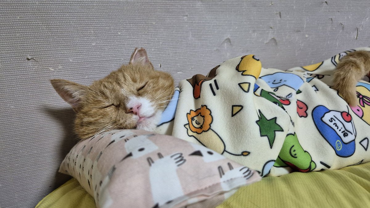 너는 점점 잠에 빠져든다냐