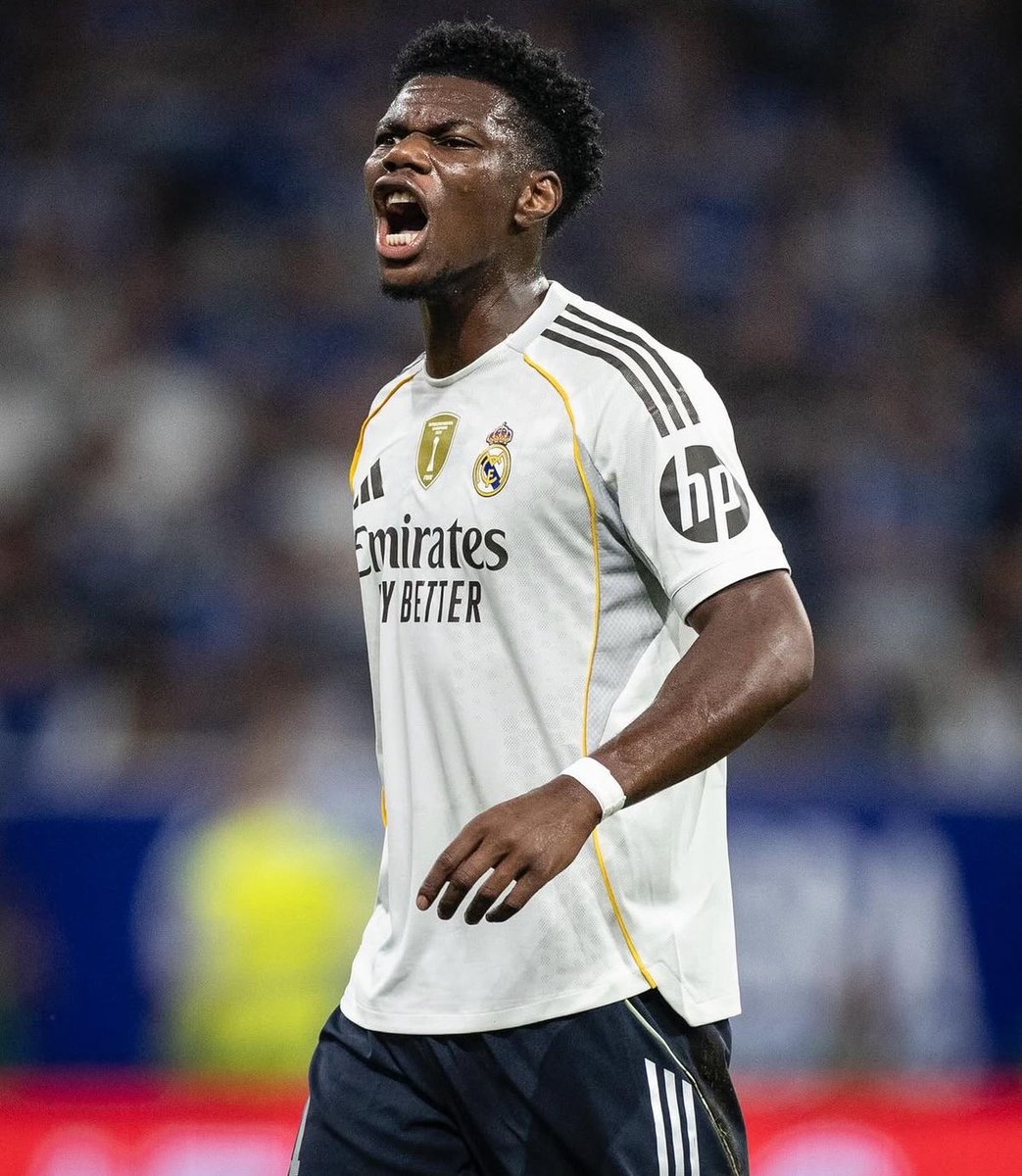 Madrid Zone tweet media