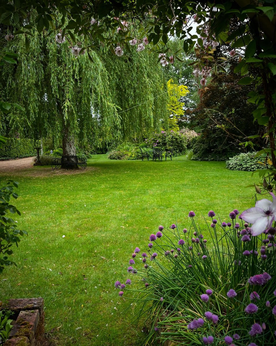 Lush green lawns returning again after the recent rain 🌧

📸 Lawn Master Sussex &amp; Surrey