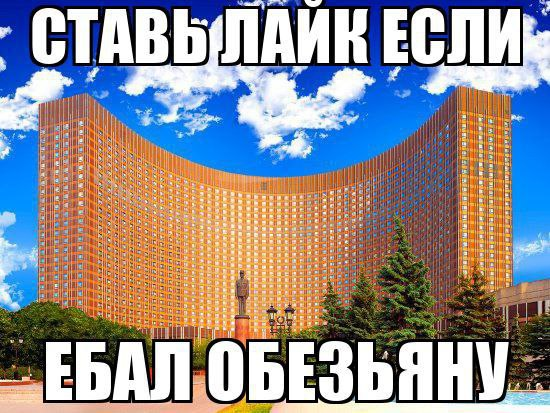 Лень придумывать нормальное имя (@boringsquid) on Twitter photo 