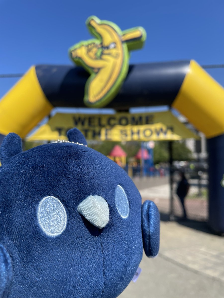NattyGitz's tweet image. The Orb and I are at the Banana Ball game! 
#RissaLIVE #OrbPost