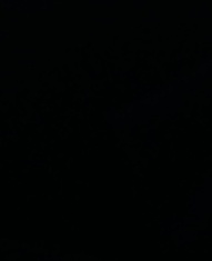 VIGILANTE .ᐟ tweet media