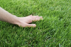 kirillvarg's tweet photo. #openseatouchgrass https://t.co/LShyhtFwGR