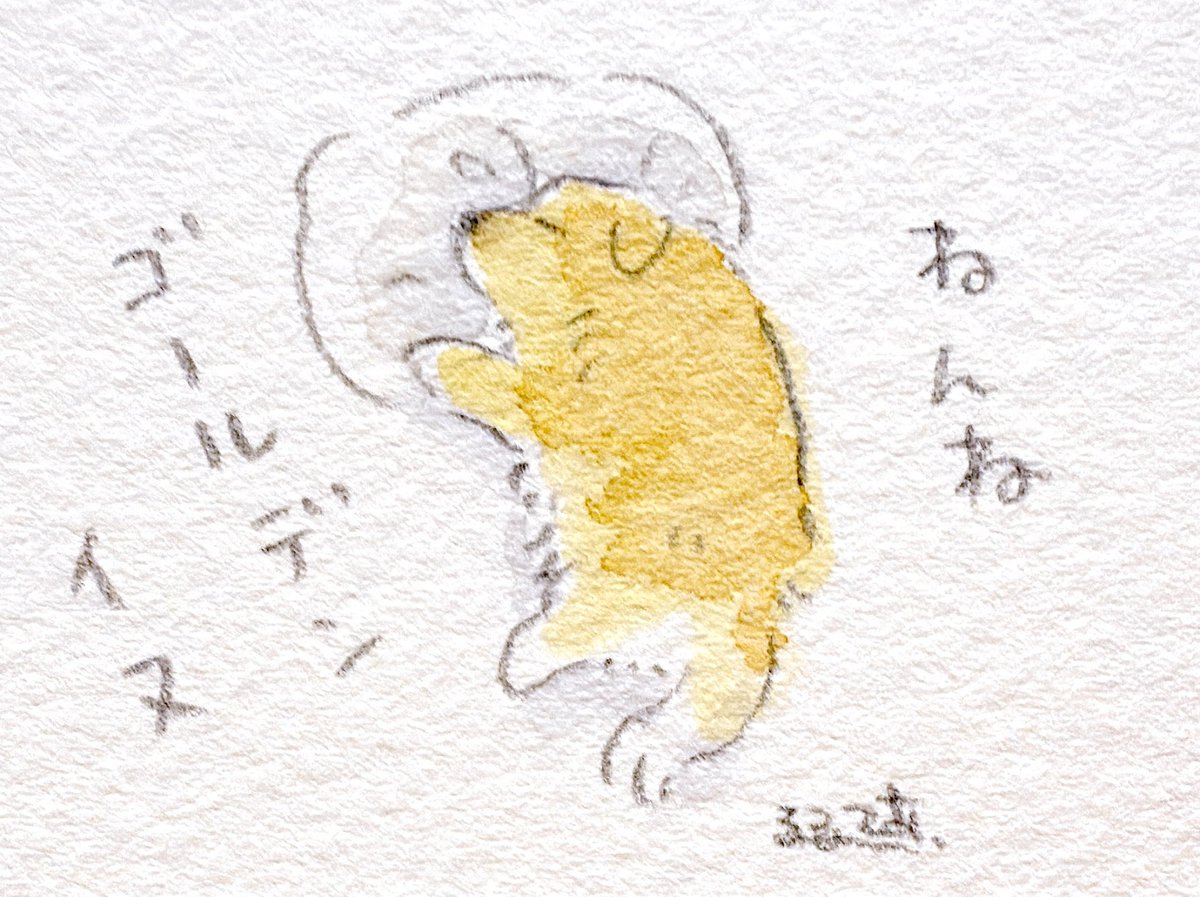 おやすみなさイヌ