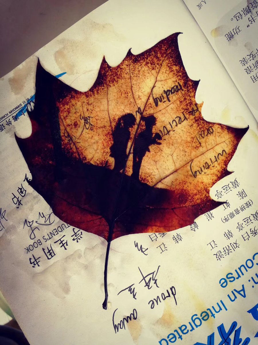 梧桐叶 tweet media