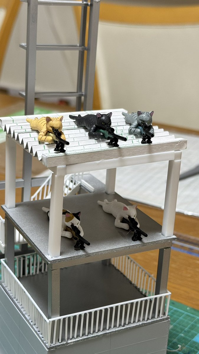 たかみページ nekozuki5281@TAKA (@MsGPtN38Y1lri8O) / X