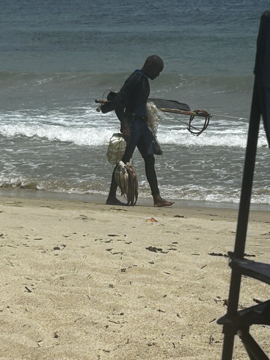 Chirimena con pesca con arpón y niños jugando cerca eso está permitido ???