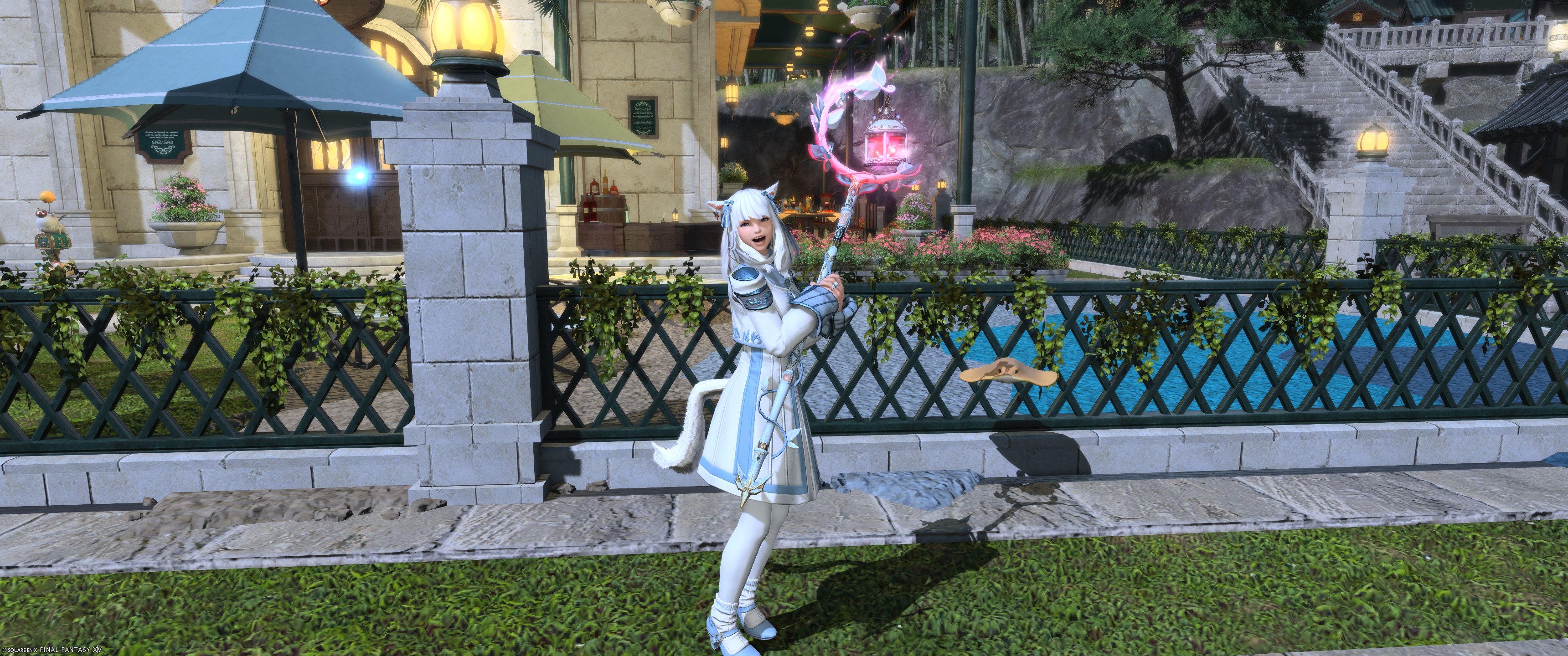 まりも (@Mr_Marimo_) / X