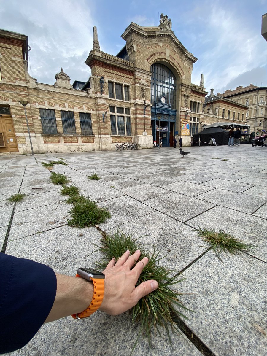 Touch the grass
#openseatouchgrass #opensea
<a href="/opensea/">OpenSea</a>