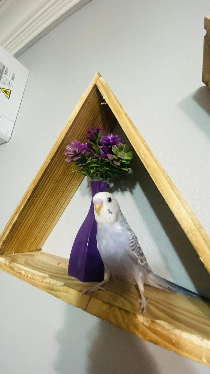 Sizden gelenler 📸