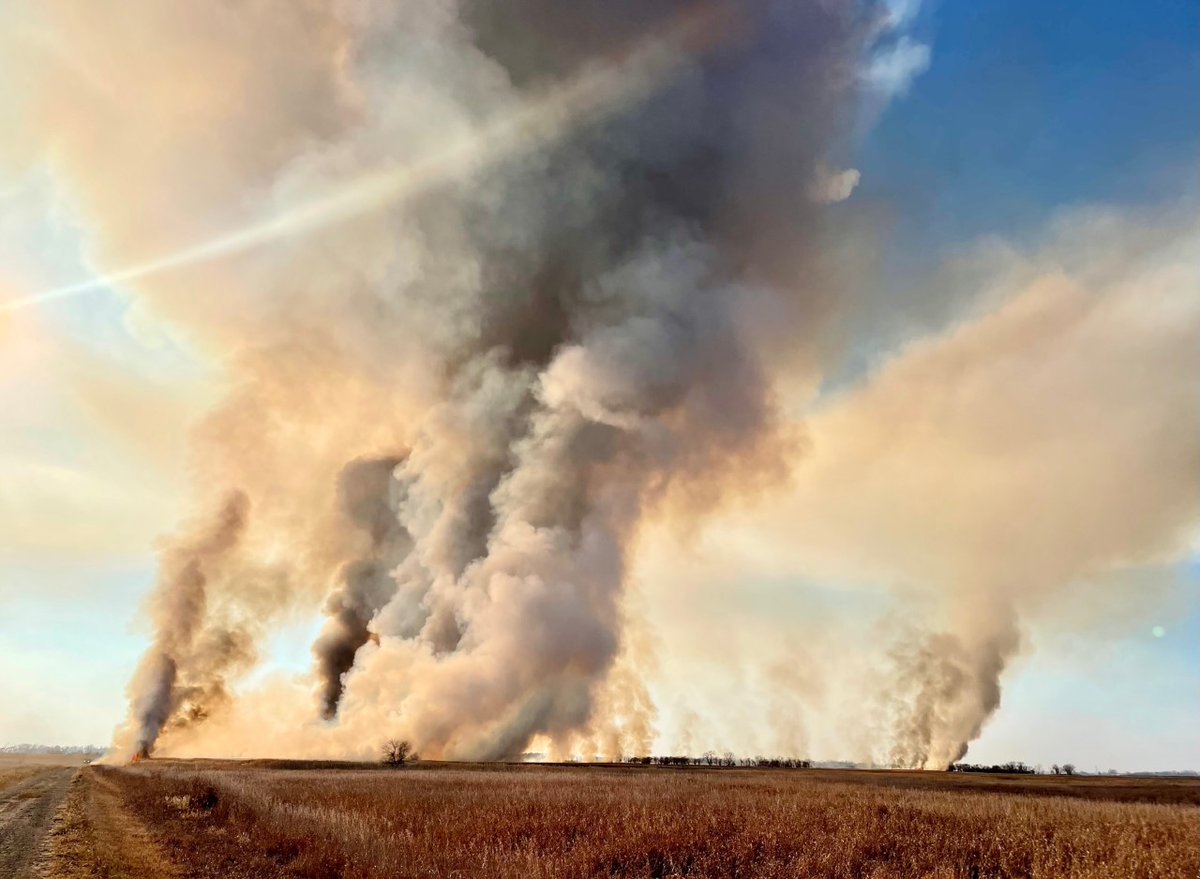 USFWSFire's tweet image. We are #hiring a GW-08/09 wildland firefighter (fuels) @ Sand Lake NWR or Madison WMD (SD) to plan, implement, &amp;amp; evaluate #rxfire &amp;amp; fuels treatment projects.

Apply by 9/22 ➡️ bit.ly/42hNyBx

#NotYourOrdinaryJob #FireJob @USFWSCareers

📸 Kalee Dennert/USFWS