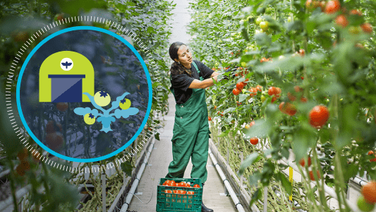 GS1_US's tweet photo. Receive an overview of #FSMA Rule 204 and learn how you can utilize #GS1Standards – already used throughout the food #supplychain – to help meet the requirements. Explore our available resources to help you get started. https://t.co/B2CFYuOfoj #foodsafety #FoodSafetyMonth https://t.co/TAqQh0wDjU
