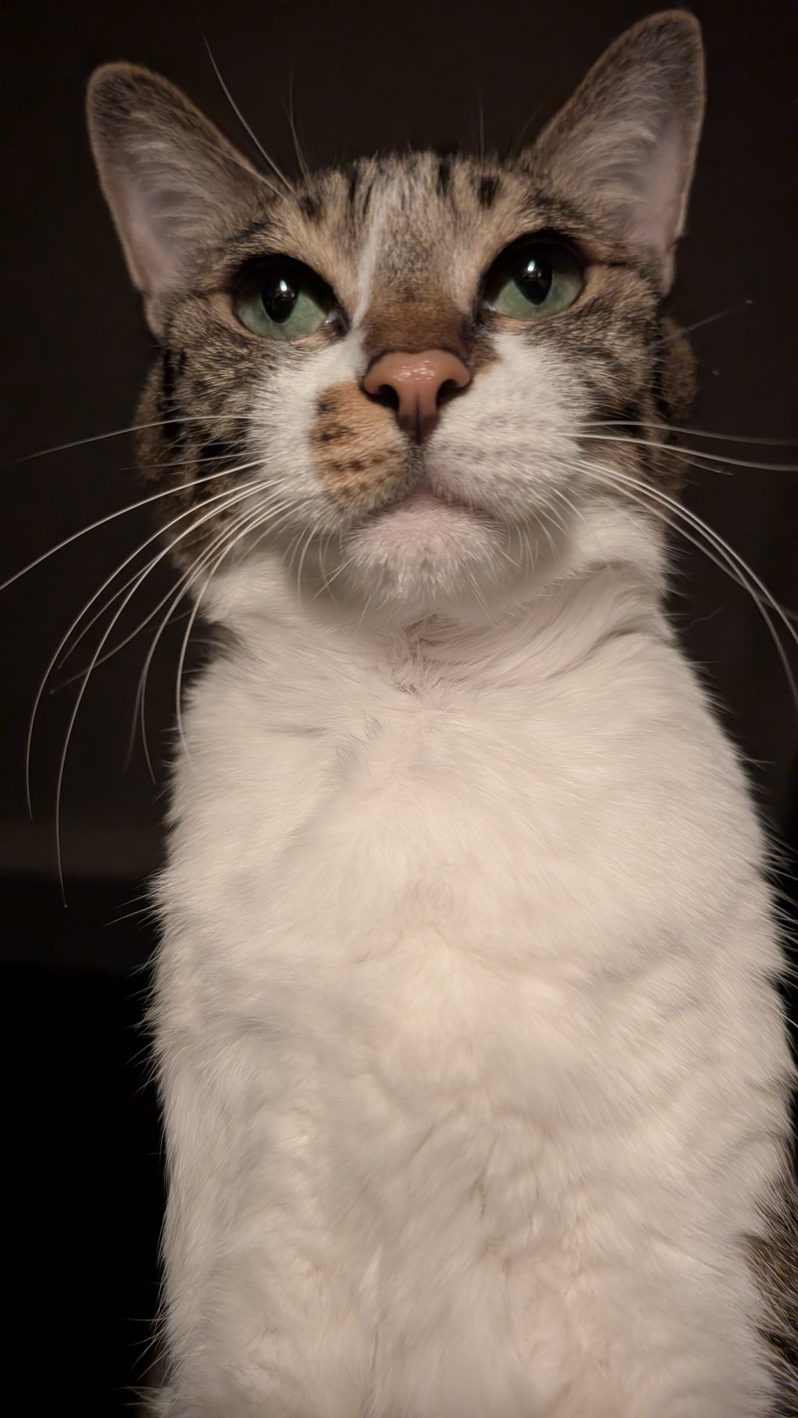 くくまる様✴オーダーページ181口目 くくまる様✴オーダーページ181口目