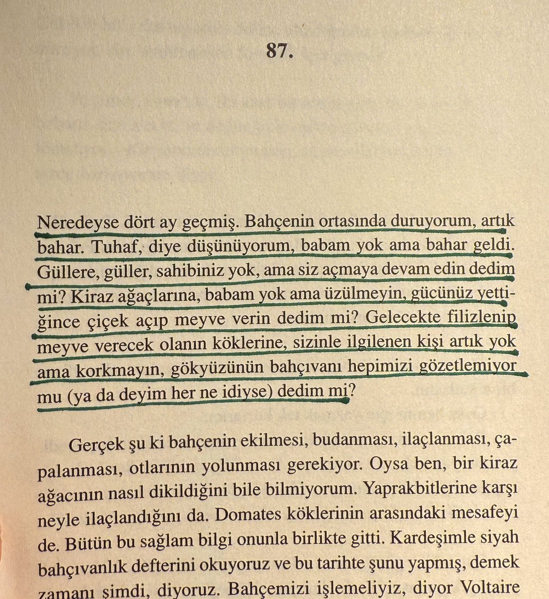 busranurhonca's tweet photo. birkaç sayfa tadımlık. https://t.co/qIOzVutJBN