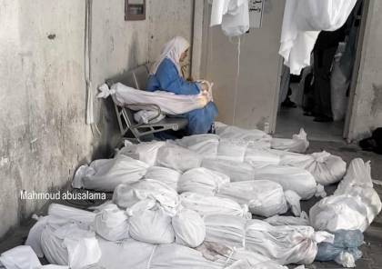 غزة كومة من البيوت المدمرة، ومن جثث العرب الفلسطينيين
فإلى متى؟
غزة تقبل كل يد عربية تعمل بجرأة وقوة على وقف المحرقة، وكسر اليد الصهيونية التي تمارس حرب الإبادة الجماعية
فإلى متى سيواصل العالم المشاهدة والسمع والصمت؟